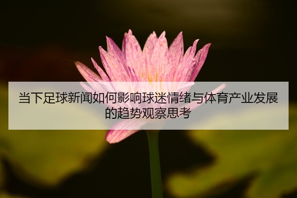 当下足球新闻如何影响球迷情绪与体育产业发展的趋势观察思考